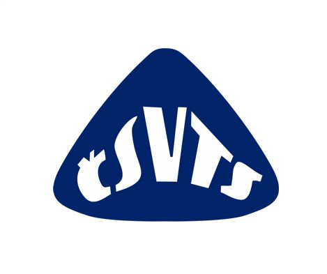 logo csvts